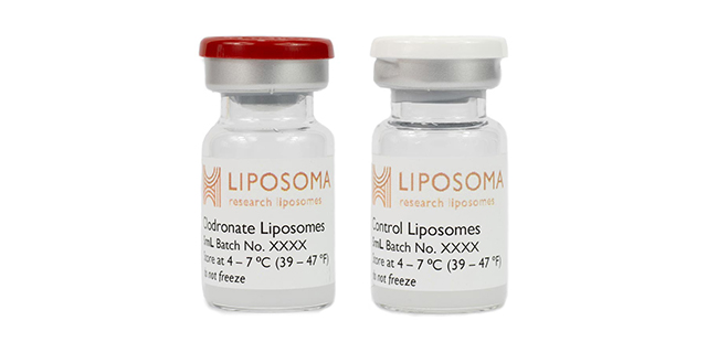Liposomal Formulations